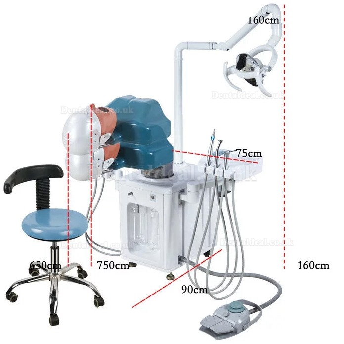 Jingle JG-A2 Dental Training Teaching Surgery Practice Patient Simulation Unit